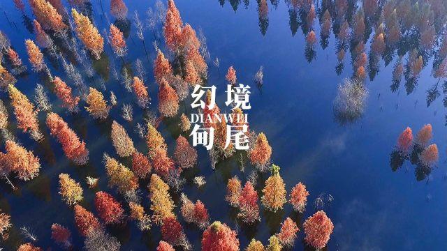 19岁网红脑溢血去世,为何仅仅19岁就会突发脑溢血?--专业有问必答平台